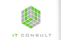 IT Consulting